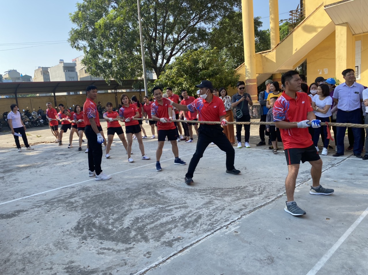 z3803441249055 0bdb80e0d704a76cc717a4faf235f457